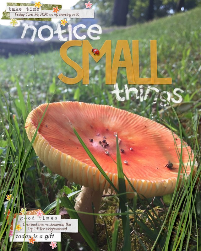 06style-small-mushroom