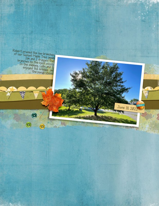 06SwL_MBC_sunsetmapletree