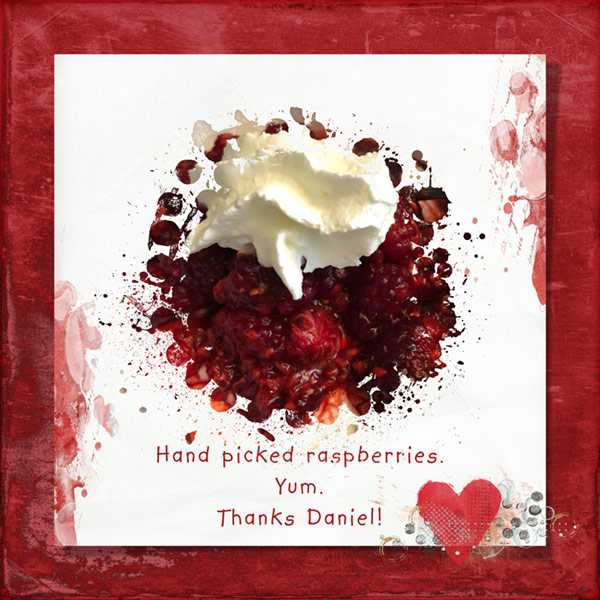 07-18_SIX_Raspberries