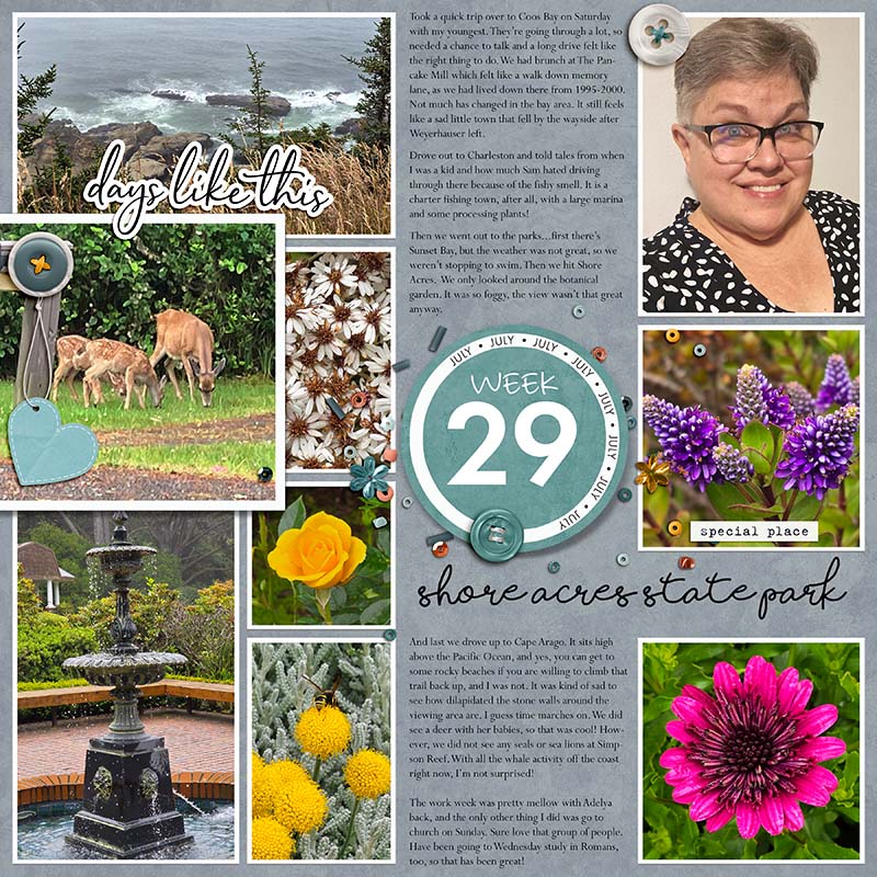 07 Week 29 2025