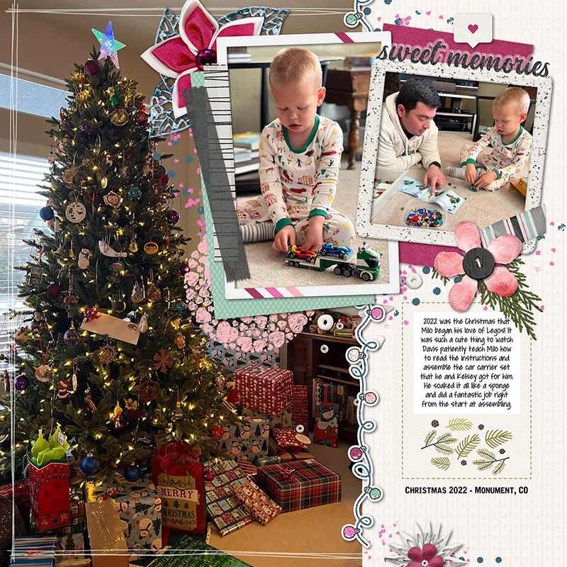 071423_ngd_berry-merry-xmas_scc_800