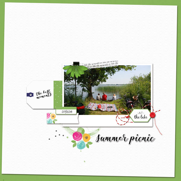 07_18_sc_summerpicnic