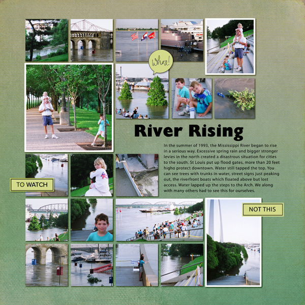 07_1993_Mississippi Rising Web