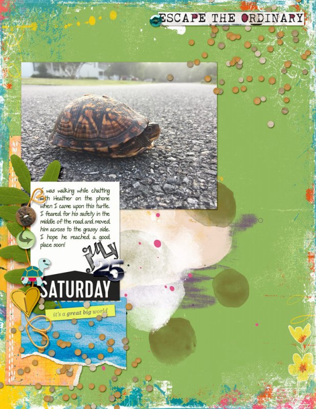 07speed-turtle