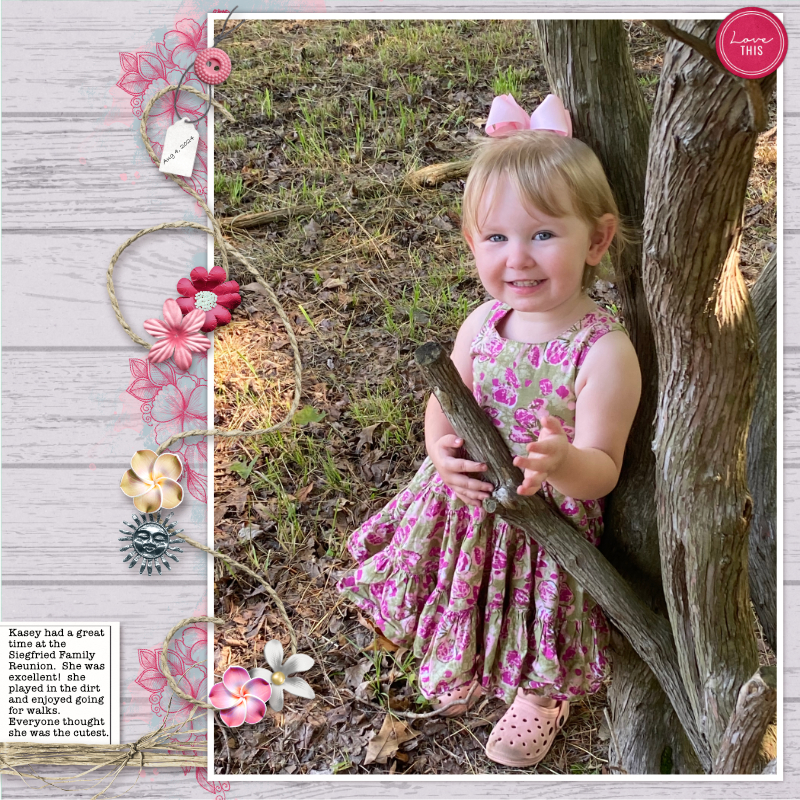 08-04-2024 - Kasey - Family Reunion
