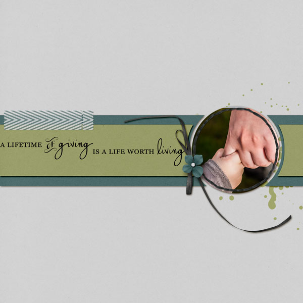 08-18_sc_focus_template-alifetime
