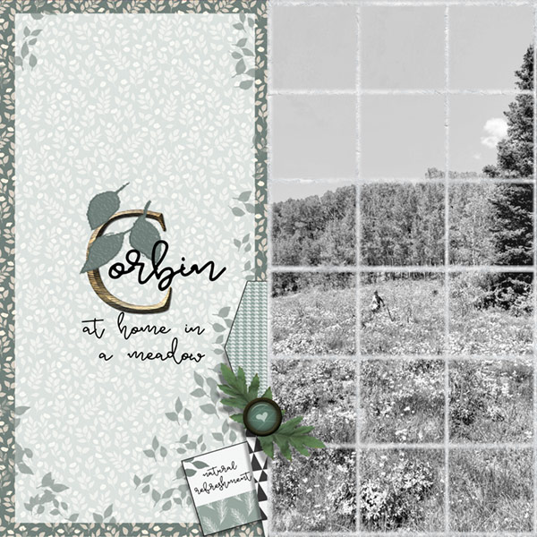 08-19_Day-4_Meadow