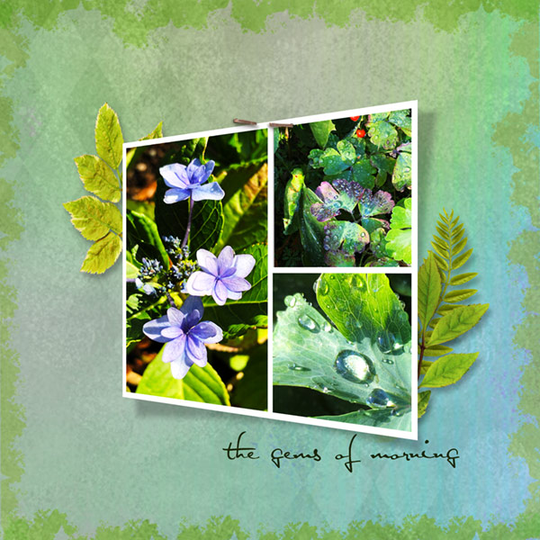 08-19_DeepShadowPop_Garden