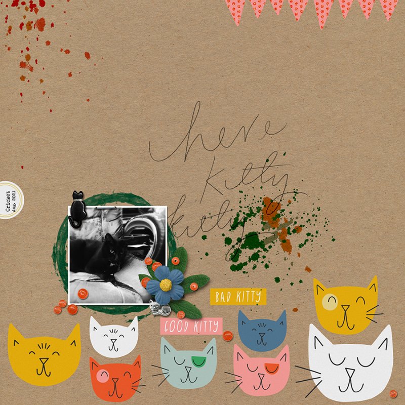 082021RC-BadKitty