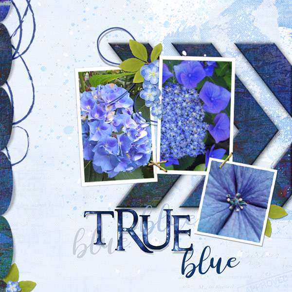09-01-18_MakeItSnappy_True-Blue