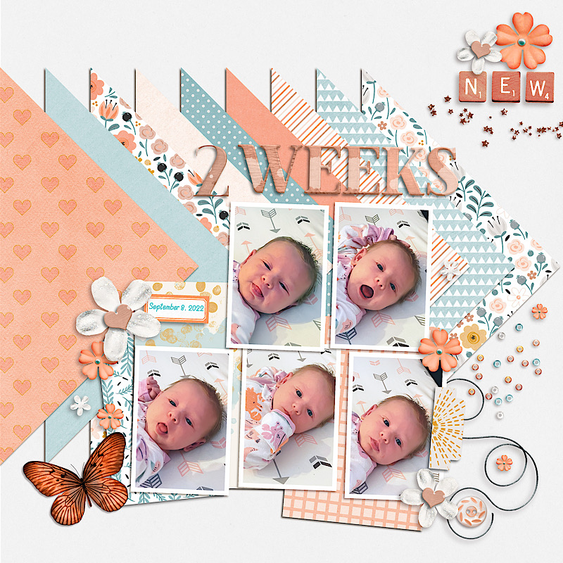 09-08-2022 - 2 Weeks