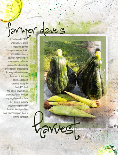 09-18_Free-MiniKitChallenge_Harvest