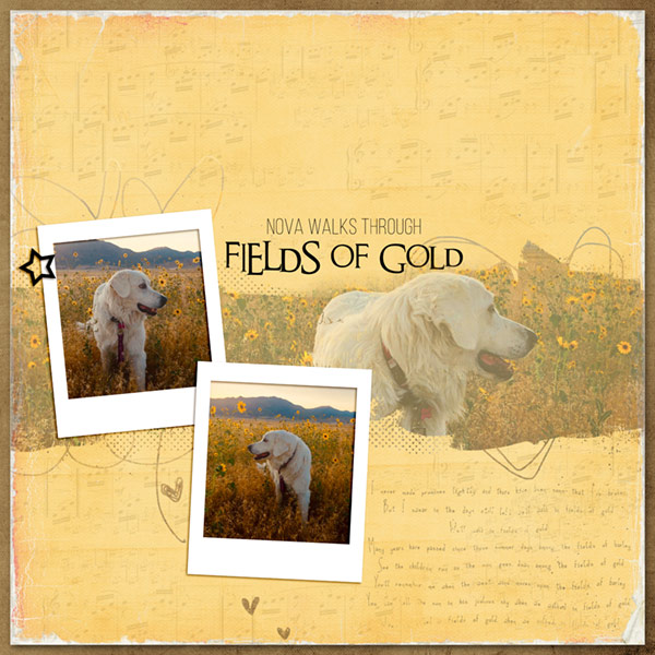 09-19_FieldsOfGold_lbw_templateFREEBIE_Sept19-copy