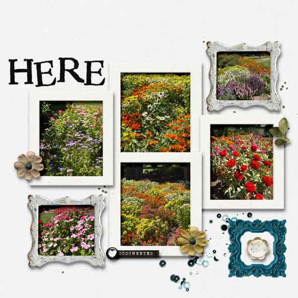 09-Random.jpg