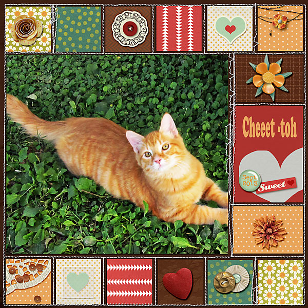 090413-cheetoh-copy