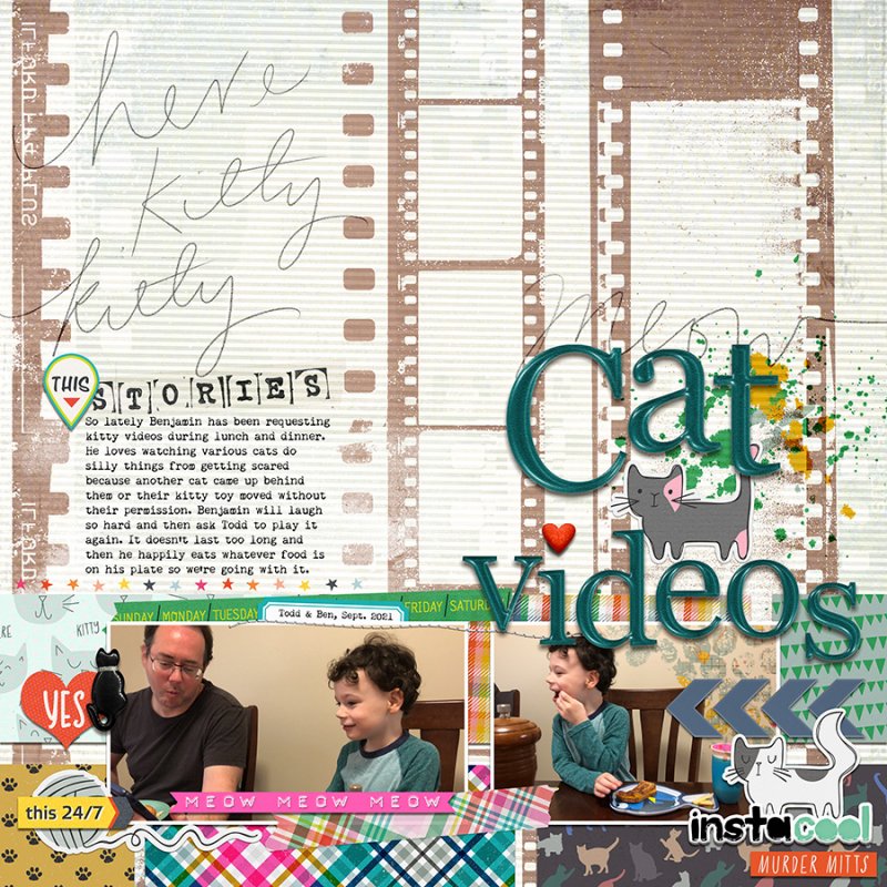 092021RC-CatVideo
