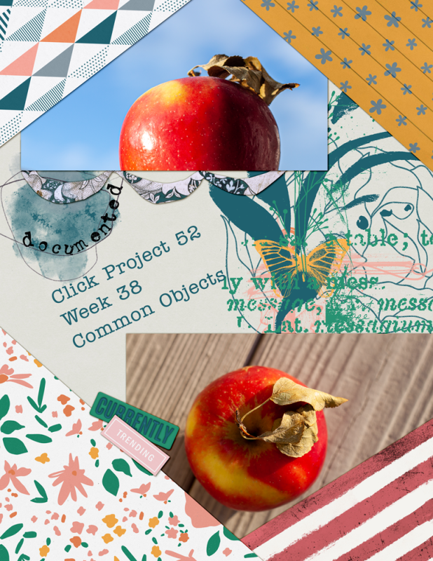 09DSD-saturday-slow-scrap