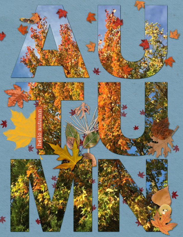 09slowscrap-autumn