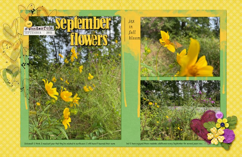 09speed-septemberflowers