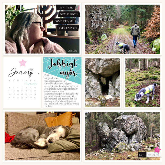 1-3 Jan 2021 left page