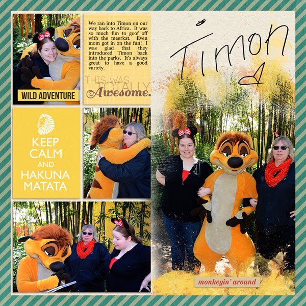 1.35 - Timon
