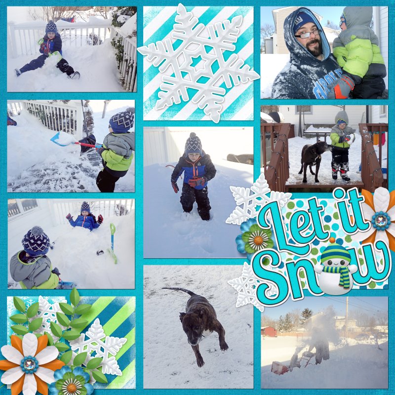 1-Blizzard-2016b
