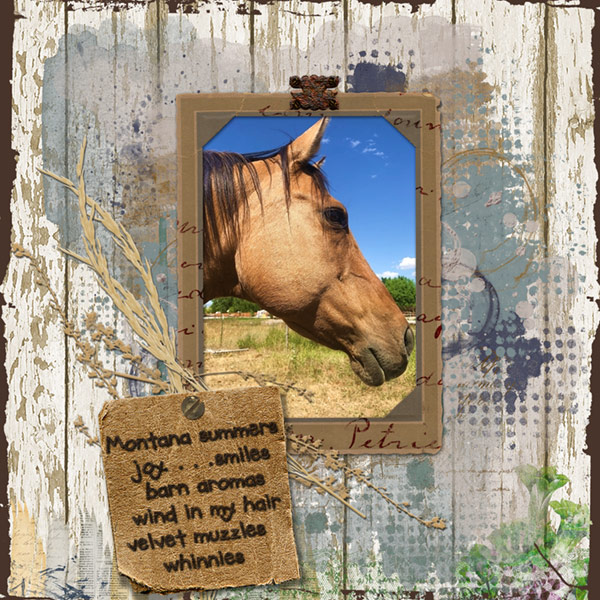 10-18_Horse-Memories