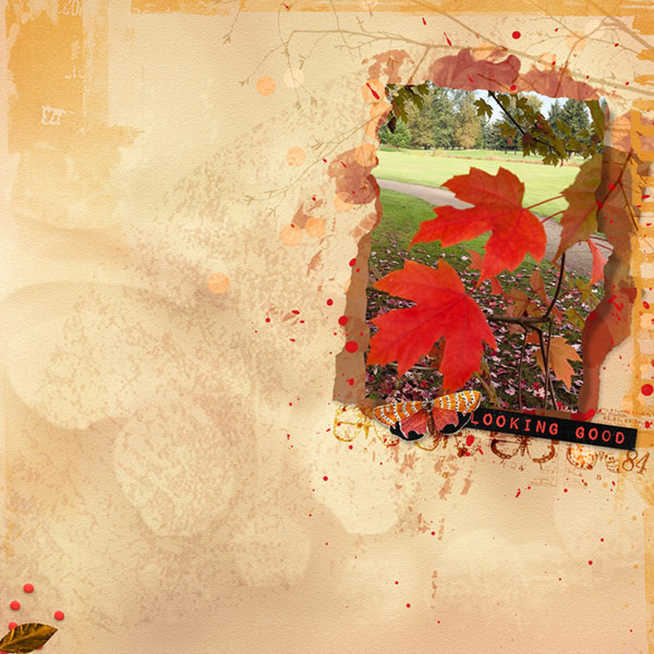 10-18_WhiteSpace_AutumnLeaves