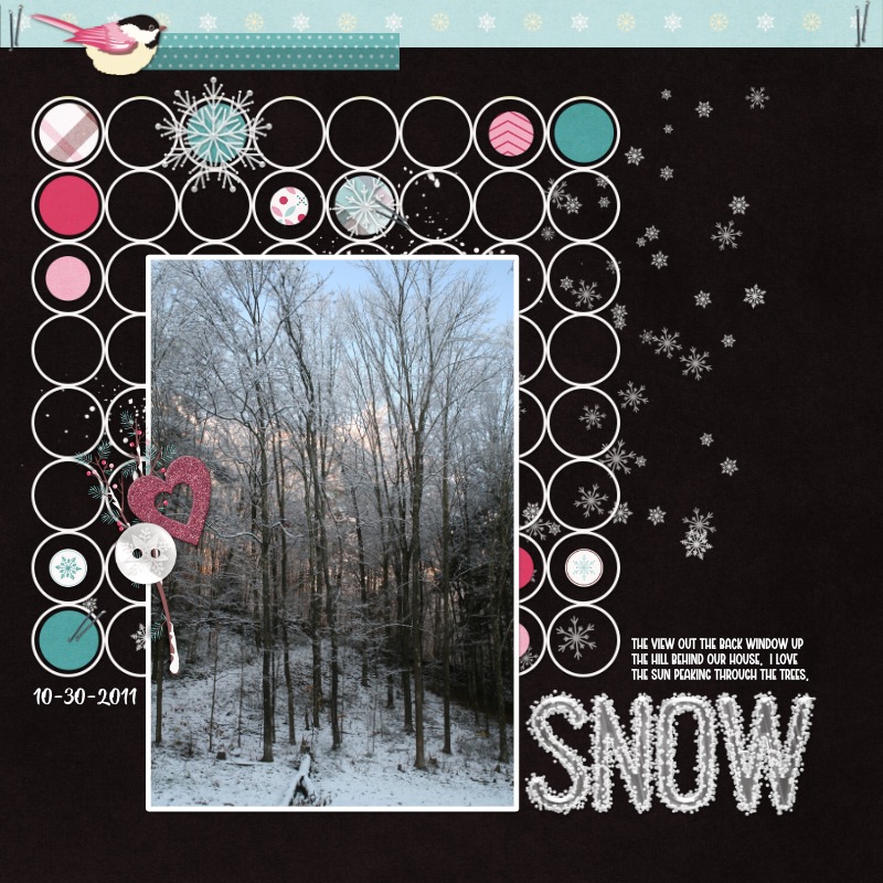 10-30-2011 - Snow
