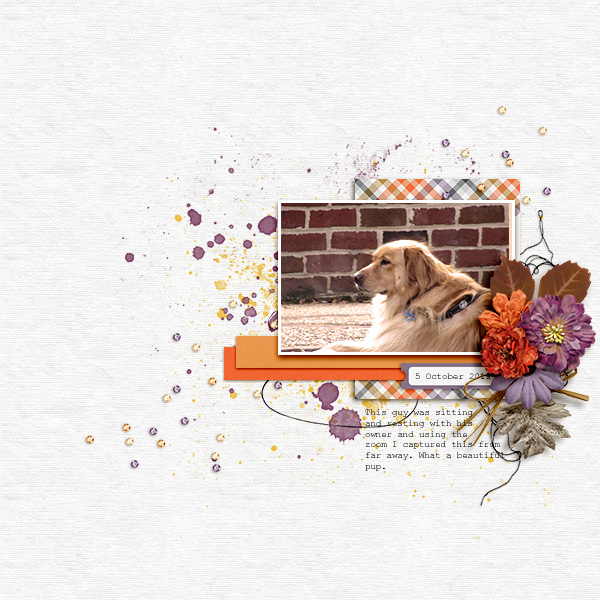 10/5/2019