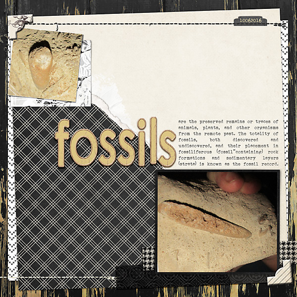 10062016-fossils-copy
