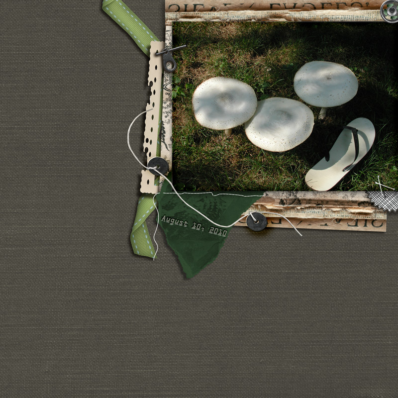 100810_mushroom_by_maple