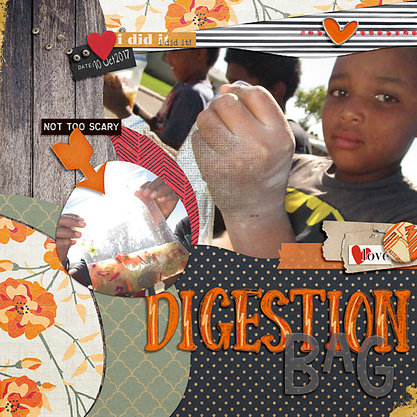 10102018-digestion-bags-BYOC-3-copy