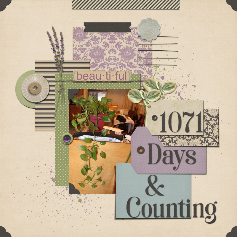 1071 Days & Counting