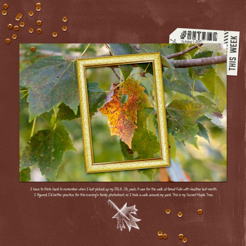 10dsd-ss-earlyautumn