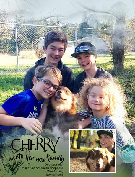 11-18_Template_Meet-Cherry