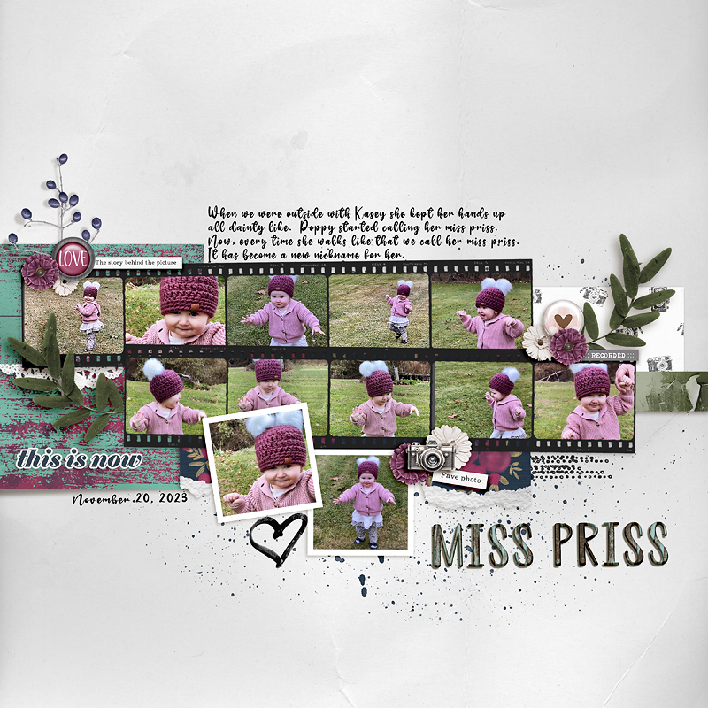 11-20-2023 - Kasey - Miss-Priss - MOC12-2