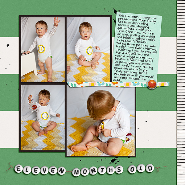 11 Months Old