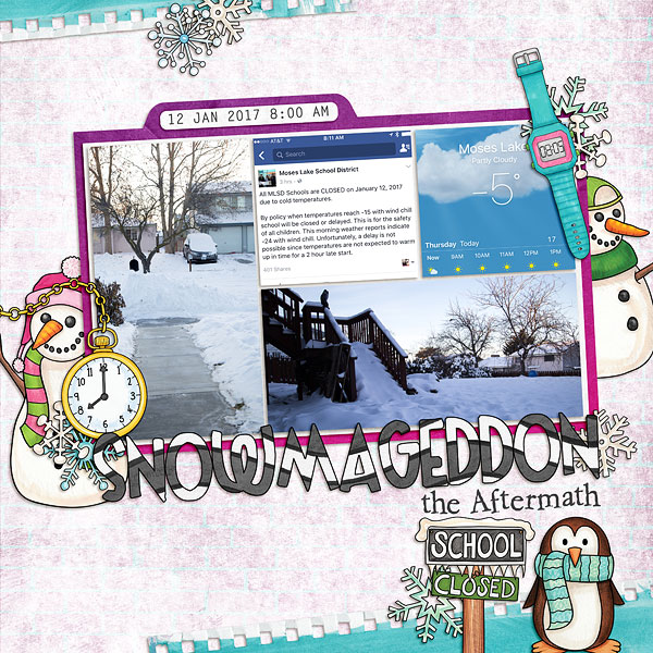 11-PhotoChallenge_Snowmageddon
