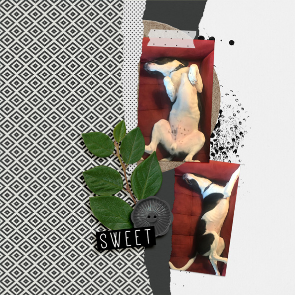 11-SWL
