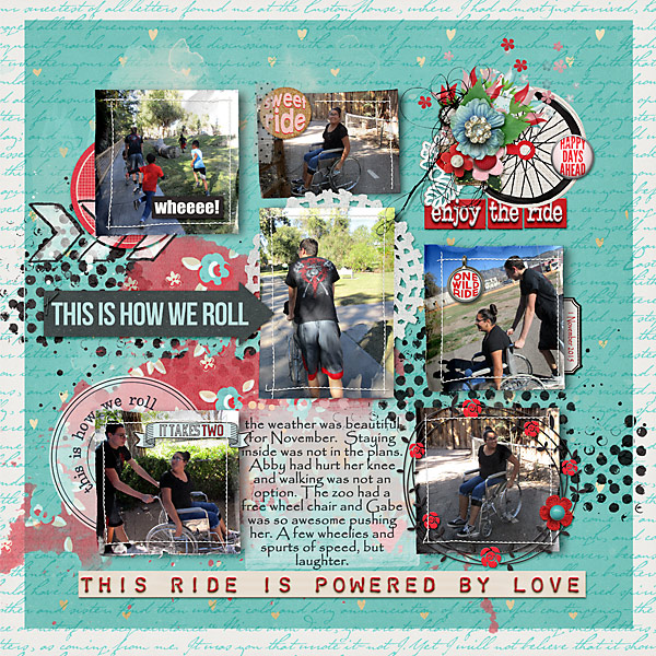 11012015-zoo-wheel-chair-copy