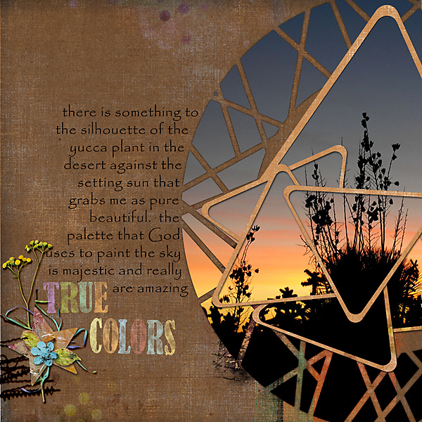 11012016-true-colors-by-Dawn-Inskip