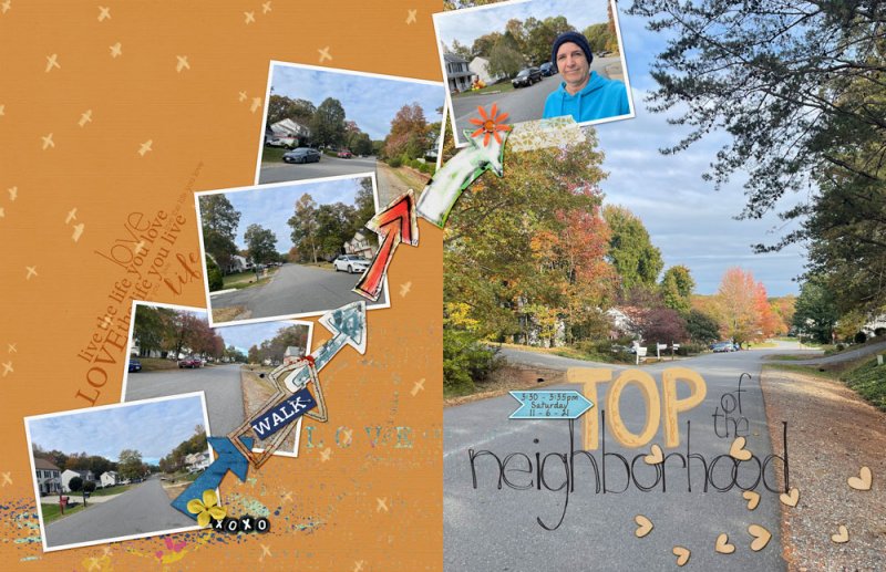 11photog-topneighborhood