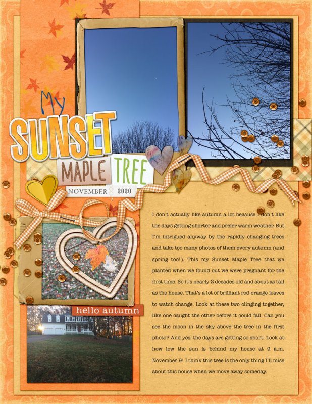 11speed-autumnsunsetmapletree
