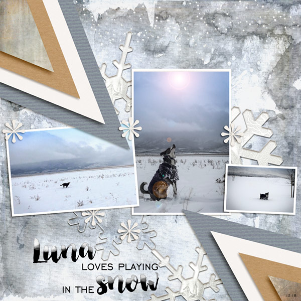 12-18_SnowDog