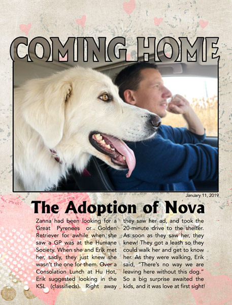 12-Cropped-Title_ComingHome-Nova