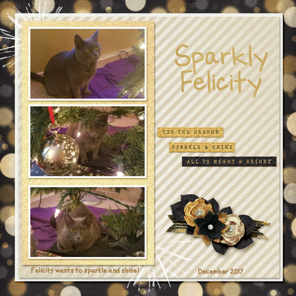 12 December Felicity Web