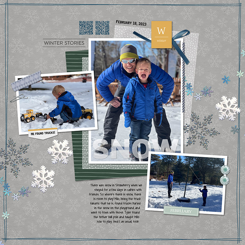 120623_dbs_winter-days_scc_800