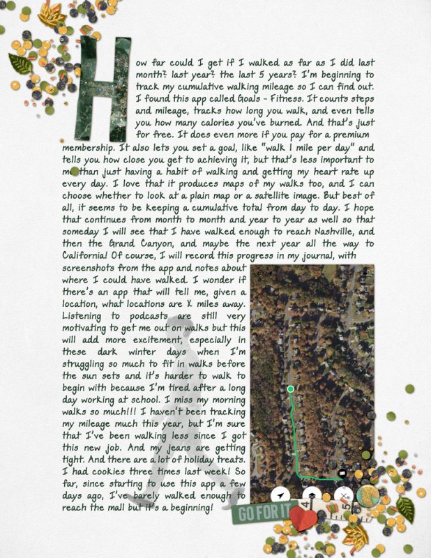 12journaling-walkingmileage