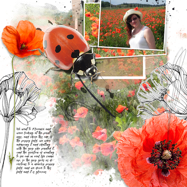 12june OP Poppies